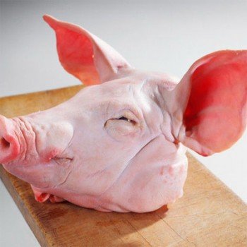 62c3cc66618a8Frozen-Pork-Head Frozen Pork Head