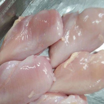 Frozen Chicken Breast