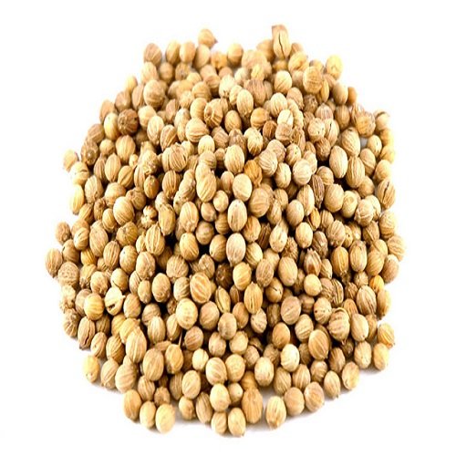 Coriander