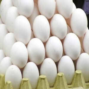 Fresh Eggs
