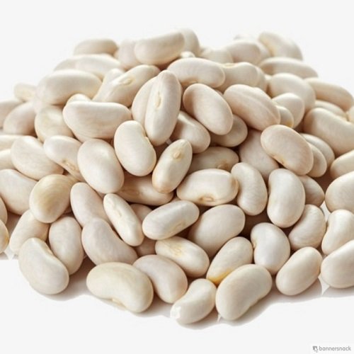 navy-beans.jpg NAVY BEANS